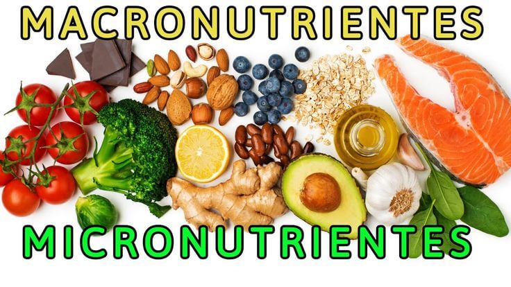 alimentação saudável no beach tennis - macronutrientes
